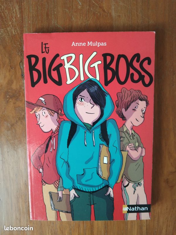 Jeunesse à partir de 10 ans - Le Big Big Boss de Anne Mulpas (image 1)