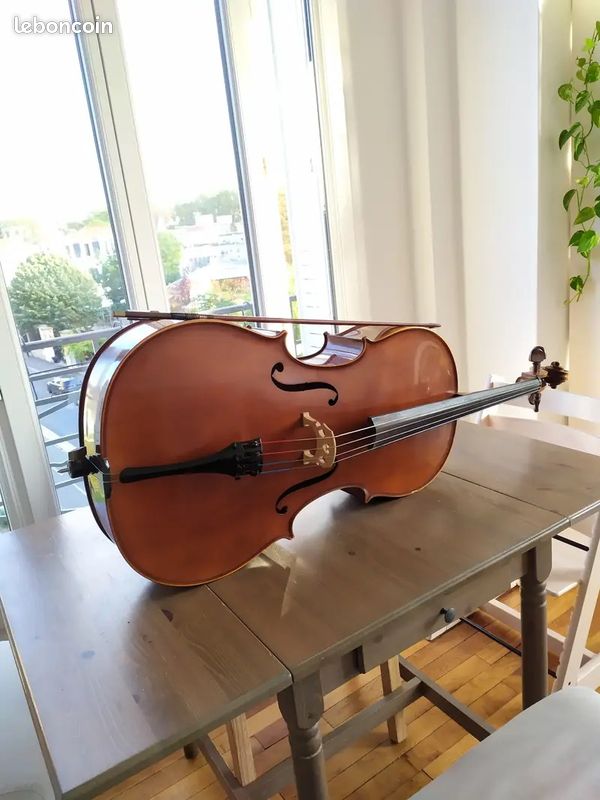 Violoncelle entier + étui (image 2)