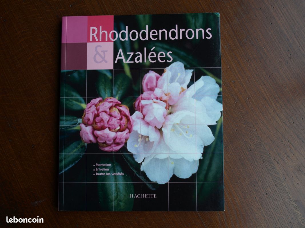 Rhododendron & Azalées (image 1)