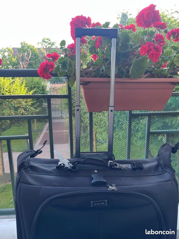 Grande valise a costume ou robe delsey (image 3)