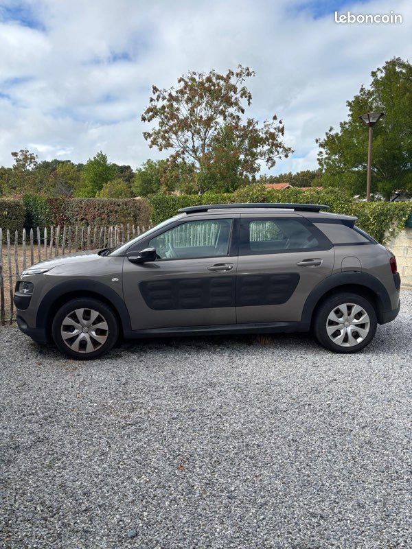 Citroën c4 cactus (image 1)