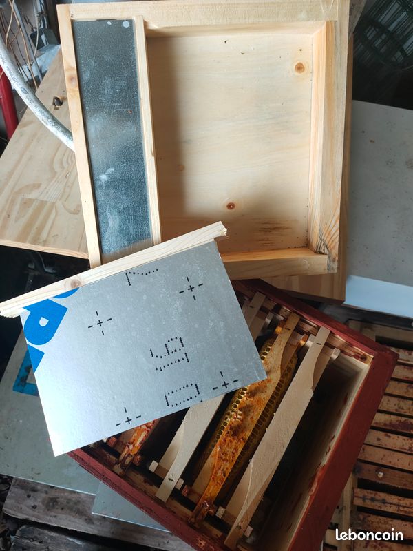 Nucléi Miniplus - Ruchéco - bois (image 2)