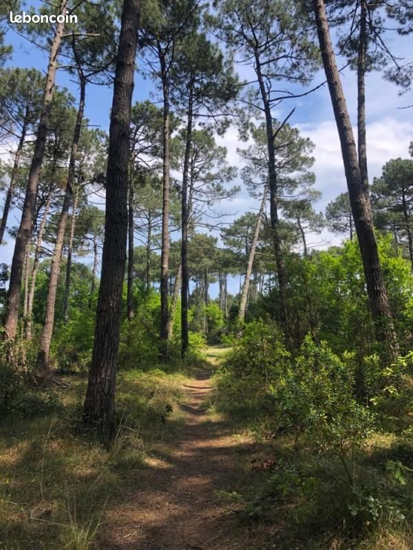 Terrain 825 m² · à Lège-Cap-Ferret · 505 500 €