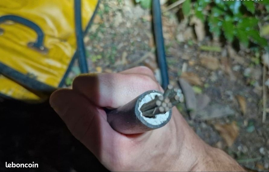 Cable R2V 2 X 25Mm (image 1)