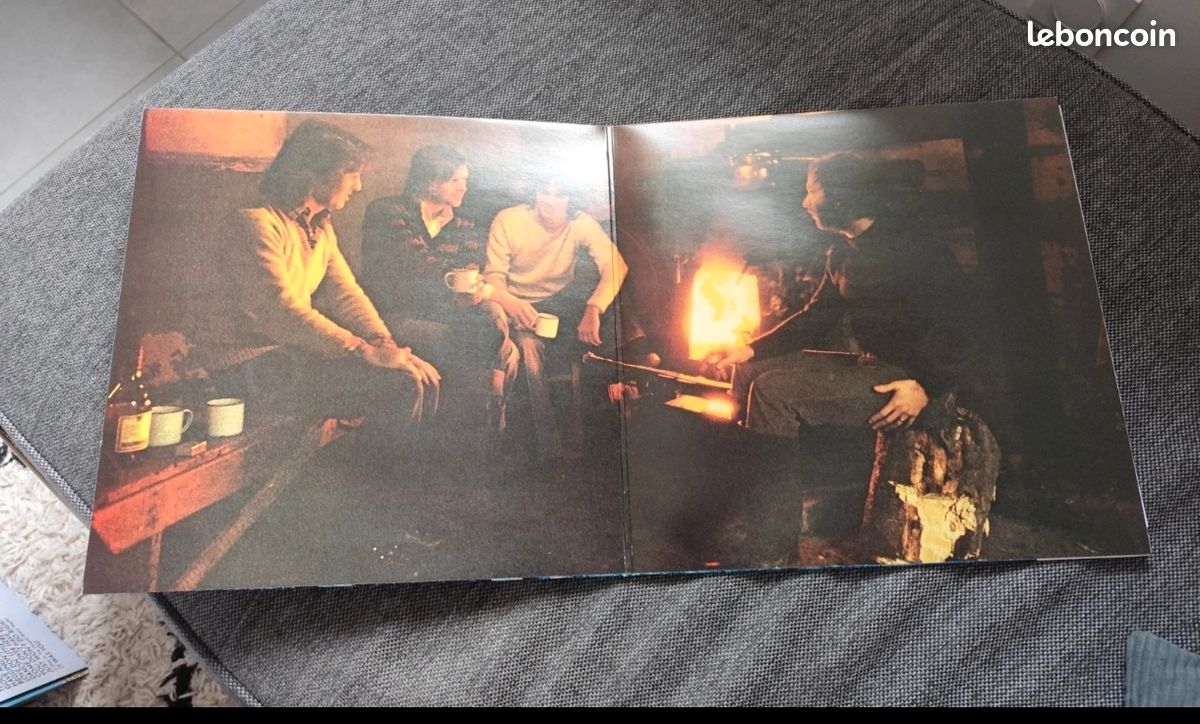 Blue Fool's Party disque vinyle 33 tours LP rock (image 2)