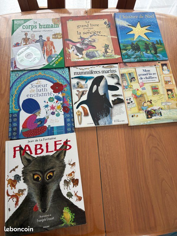 Lot 7 livres enfants - Documentaires, Contes & Sorcières (image 1)