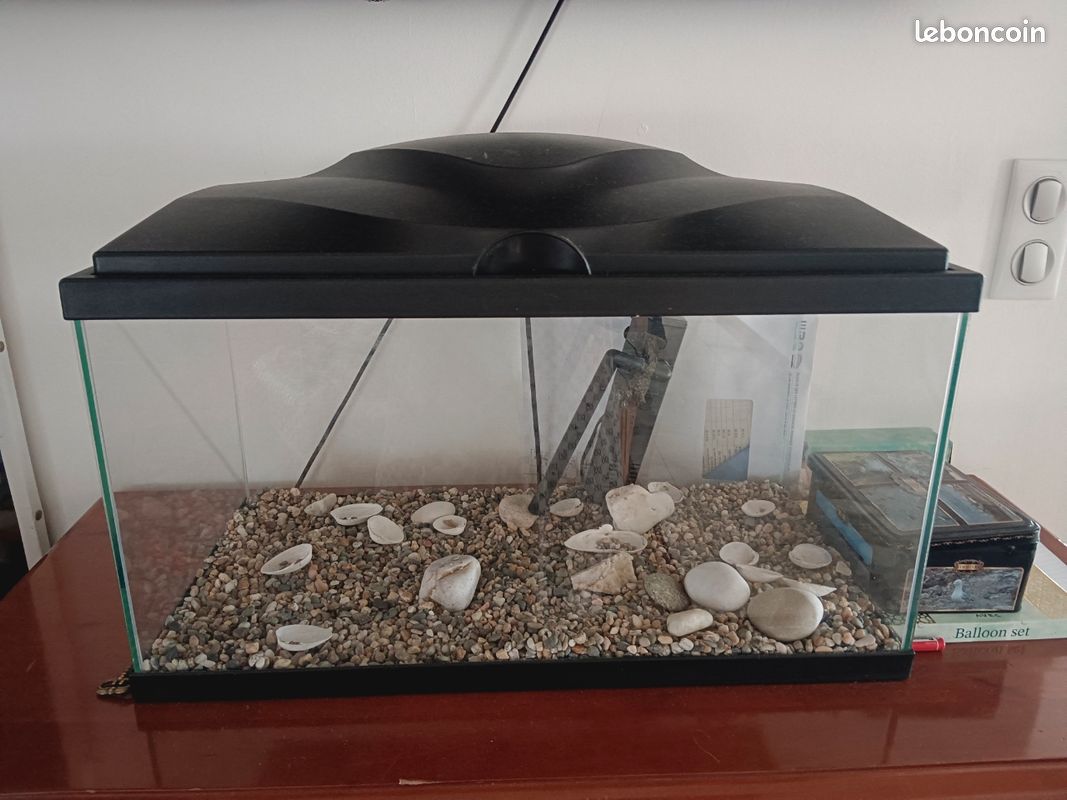 Aquarium (image 1)