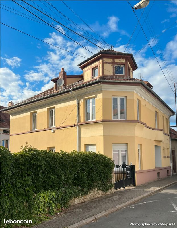 Immeuble 14 pièces 348 m² · à Sarrebourg · 348 m² · 319 500 €