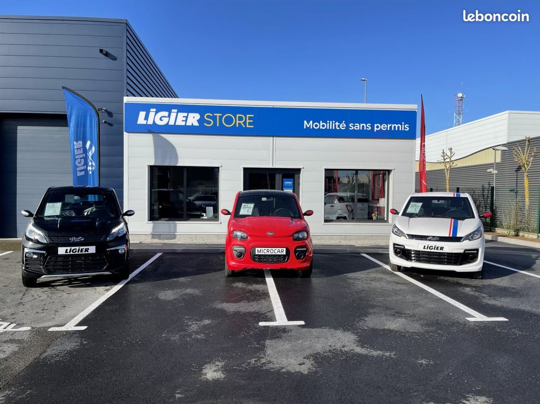 Ligier MYLI MAX ELECTRIQUE B11 AUTONOMIE 156 KMS (image 11)