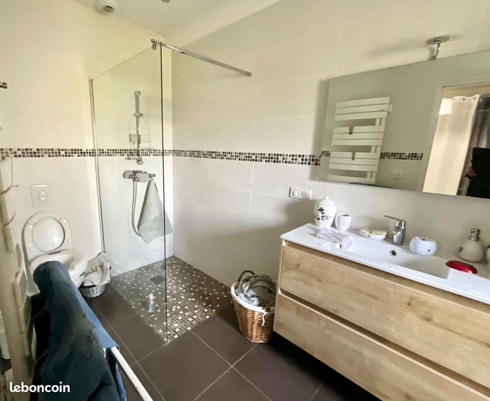 Propriété 14 pièces 513 m² (image 6)
