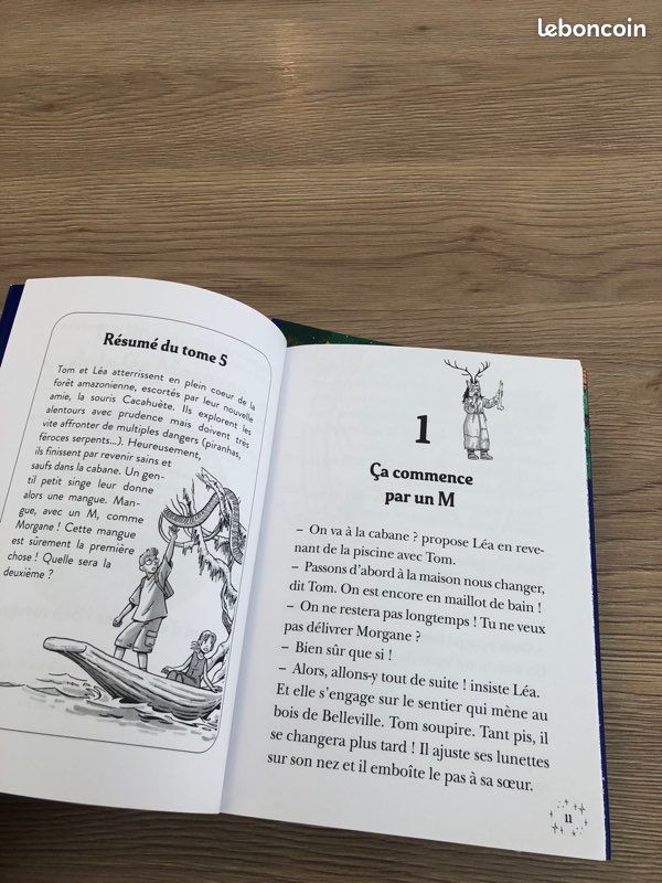 5 livres collection La cabane Magique (image 4)