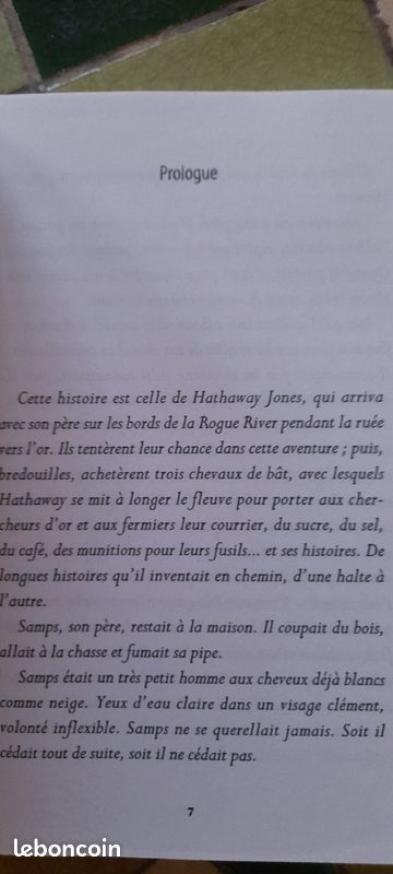 Hathaway Jones une histoire du Far West (image 5)