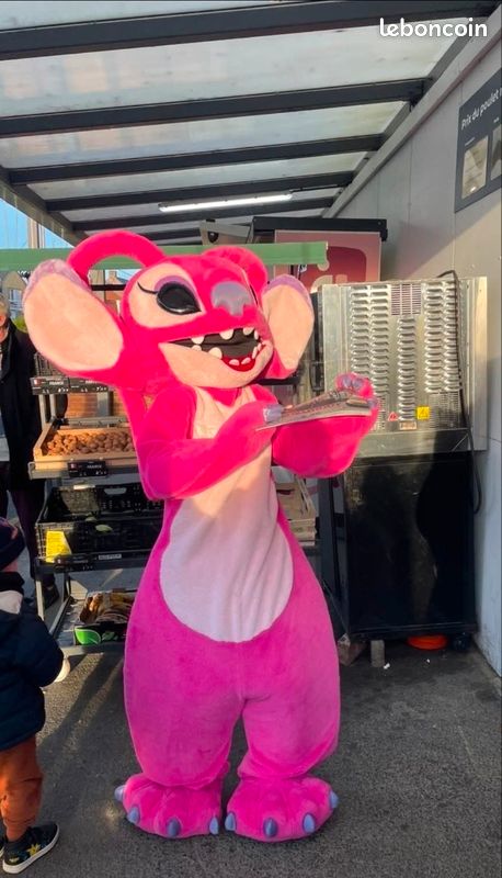 Mascotte / déguisement (image 7)