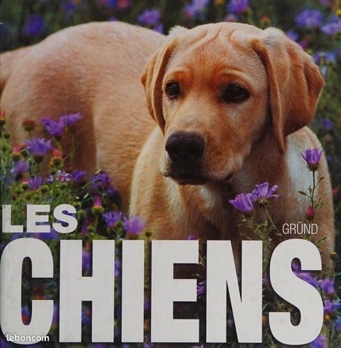 Livre Cube Les Chiens (image 1)