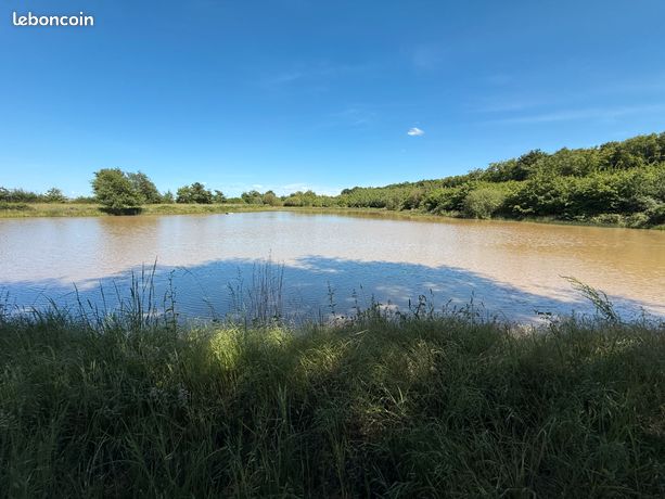 Etang sur terrain de 1,5 ha aux portes de Moulins