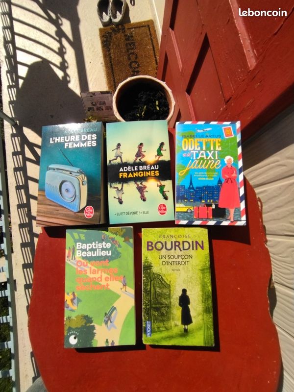 5 livres ado , adultes Adèle BRÉAU, Isabelle Arthus, F.Burdin, Baptiste BEAULIEU (image 1)