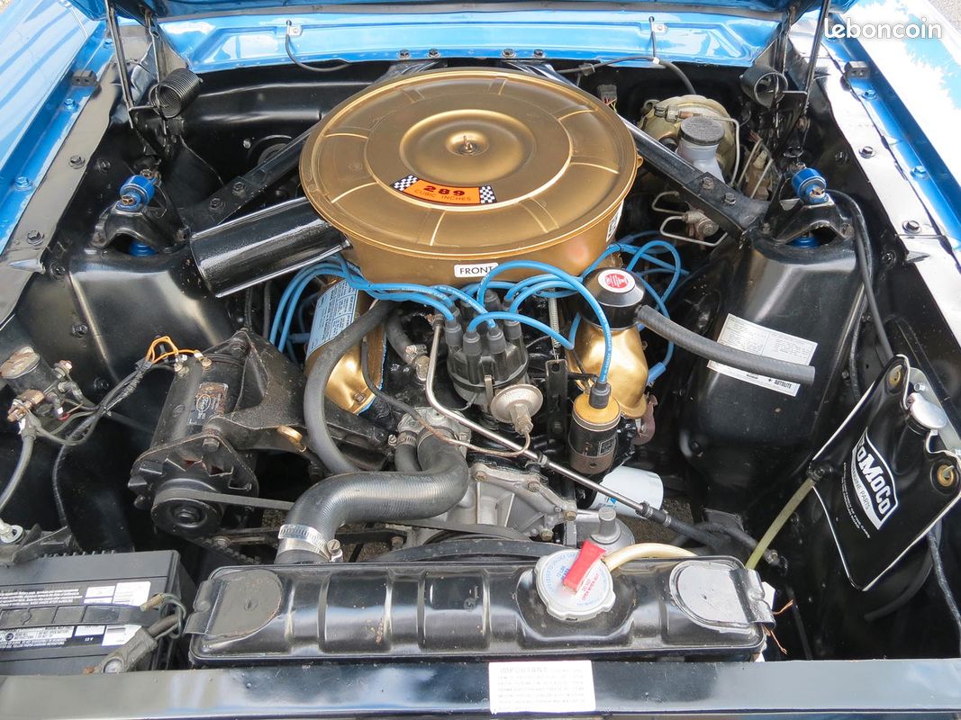 Ford Mustang Cabriolet Look Shelby GT350 Hertz 1965 (image 5)