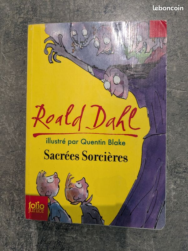 Sacrées sorcières de Roald Dahl (image 1)