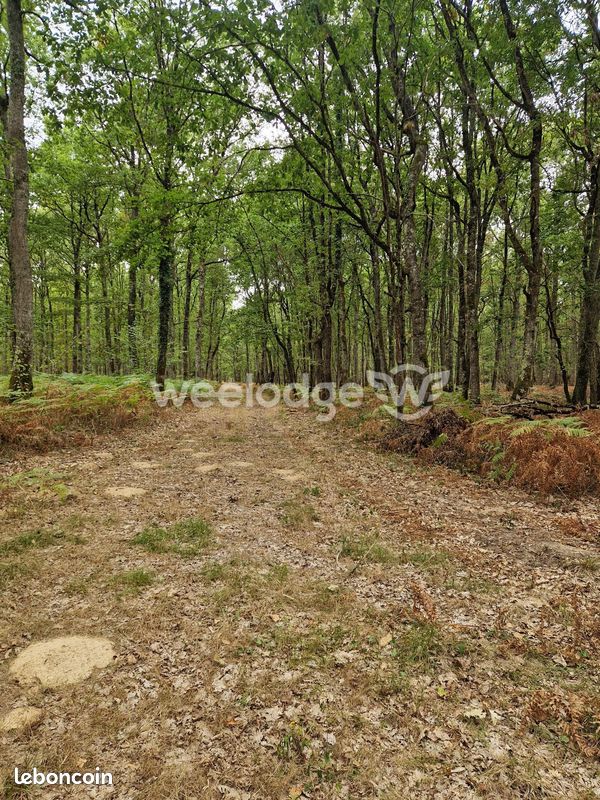 Terrain 81000 m² · à Velles · 81 000 m² · 840 000 €