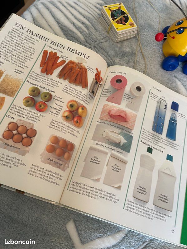 Livre les petits écologistes en action (image 4)