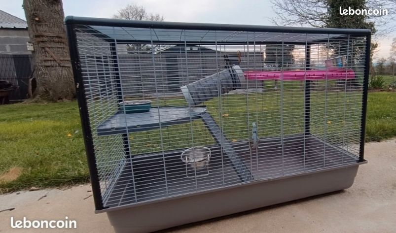 Cage rongeur (image 1)