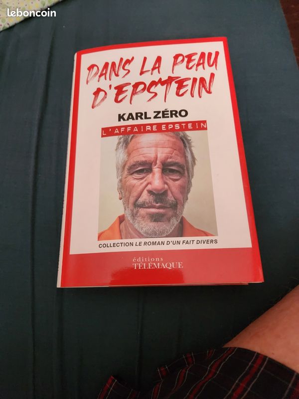 Livre Dans la peau d'Epstein (image 1)