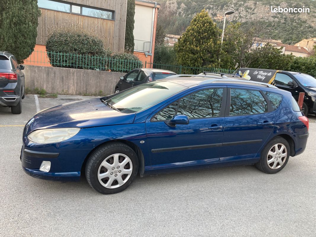 407 hdi sw (image 3)