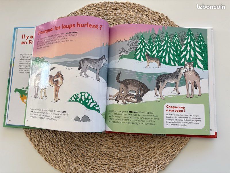 Livre 📕 mes p’tites questions, dès 7 ans, les loups, pages glacées, excellent état (image 12)