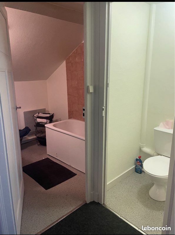 APPARTEMENT type loft secteur Sablard - Limoges 87000 (image principale 1)