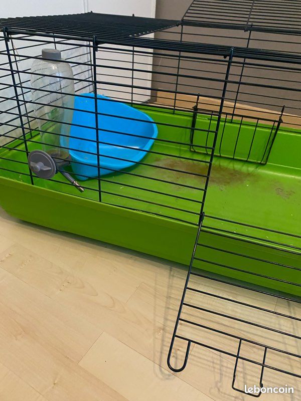 Grande cage à lapin et accessoires (image 2)