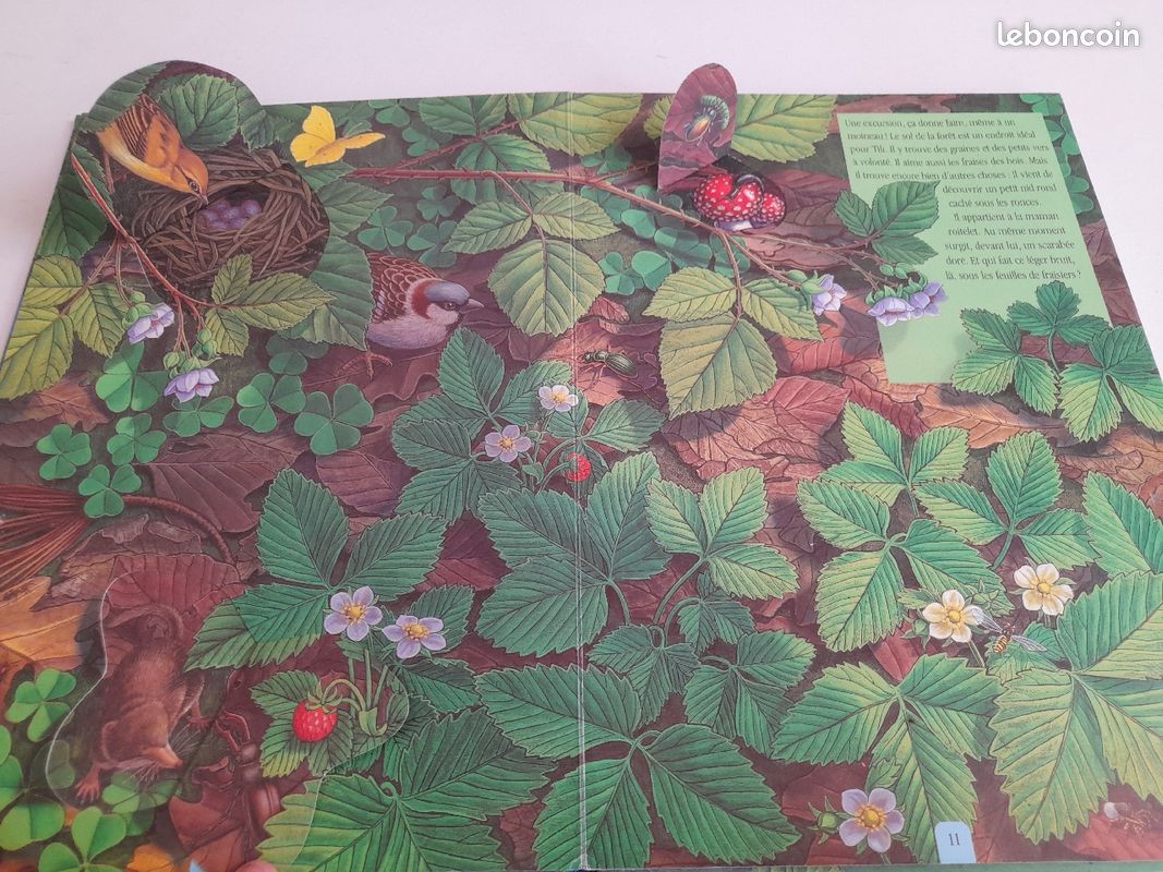 Livre la vie cachée de la nature (image 3)