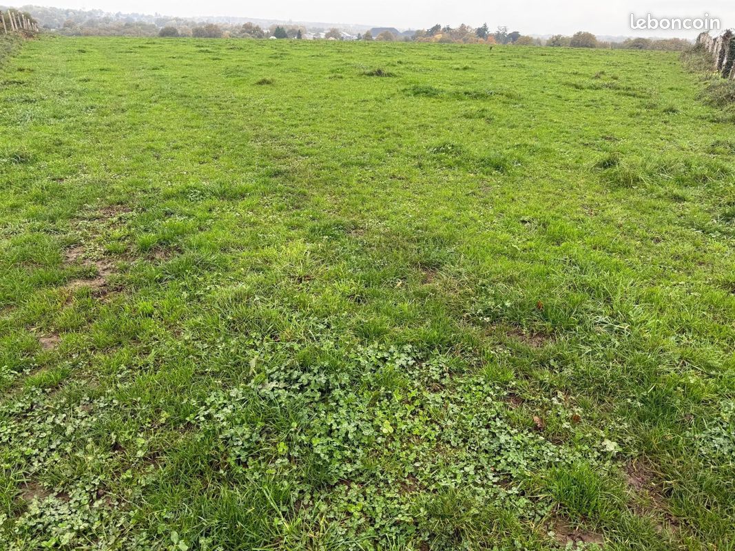Terrain 790 m² · à Candé · 790 m² · 47 000 €