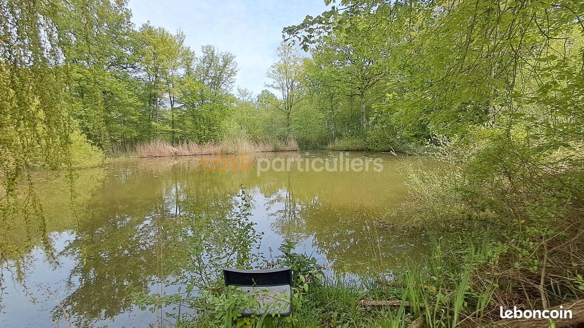Terrain 1900 m² · à Chevillon-sur-Huillard · 1 900 m² · 24 990 €