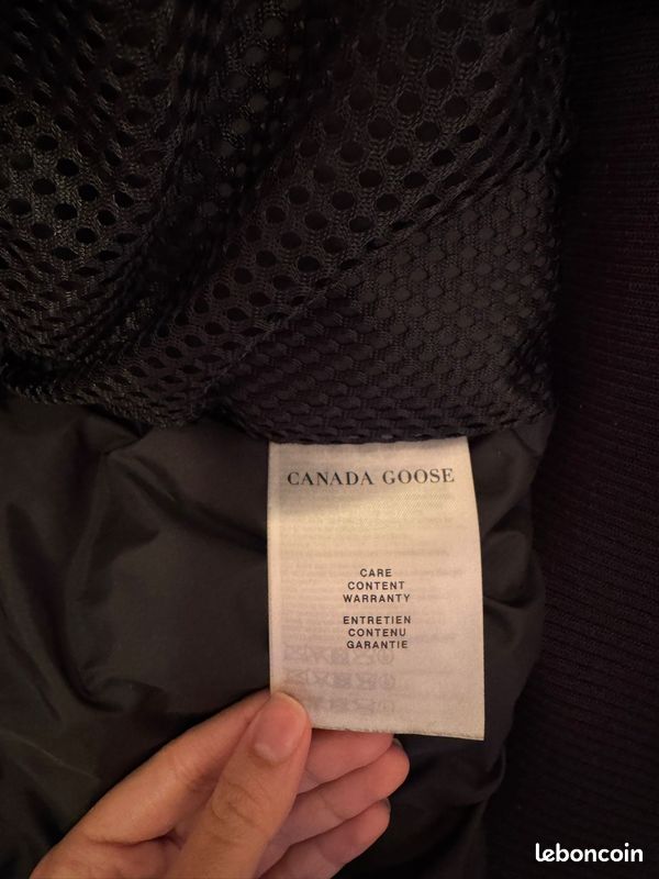 Canada goose (image 6)