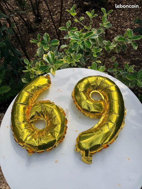 Lot de ballons chiffres dorés “6” et “9” – décoration anniversaire / fête rétro chic (image 2)