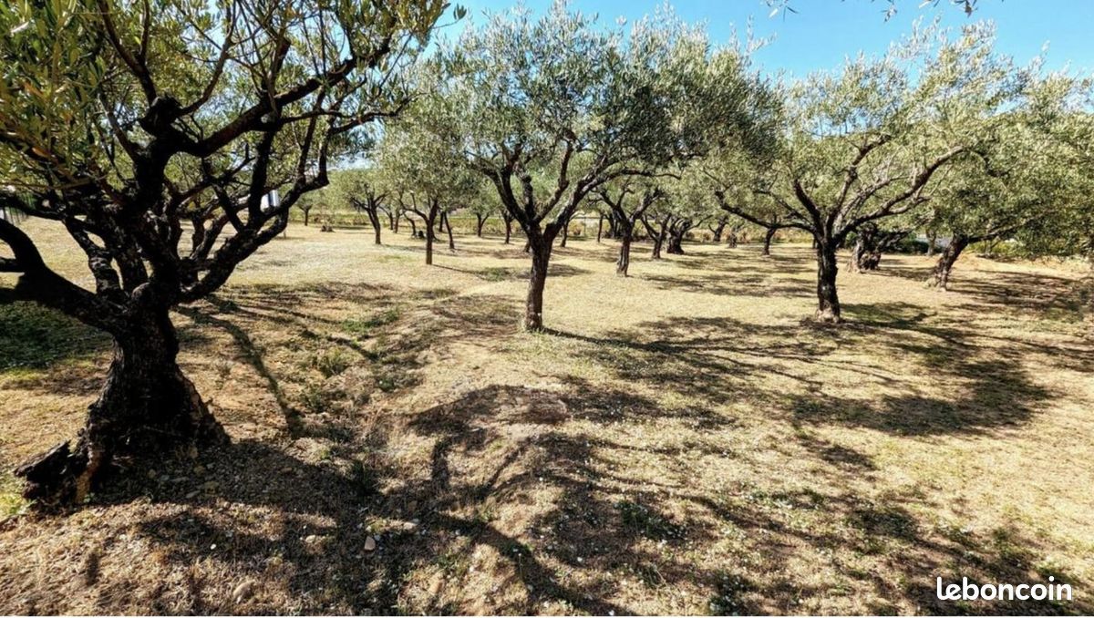 Terrain 1 200 m² Draguignan · 190 000 €