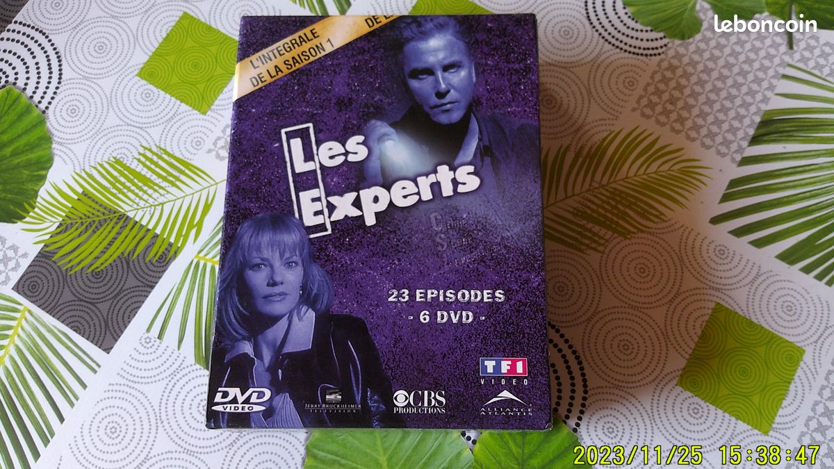 Les experts (image 1)
