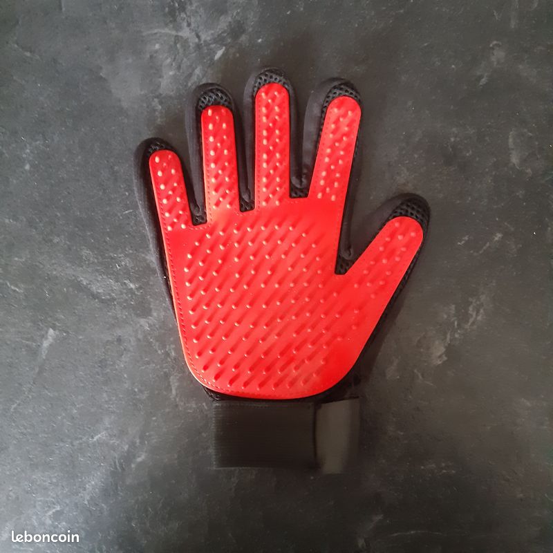 Gant de Brossage pour chien (image 1)