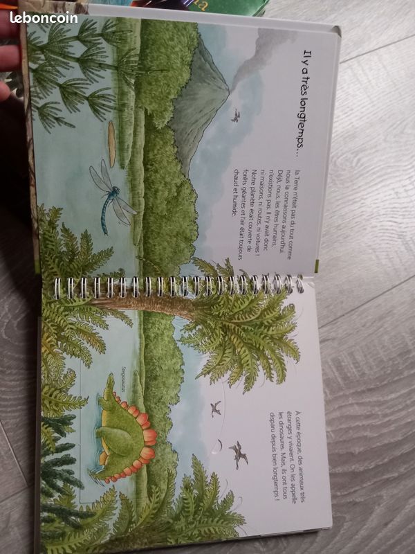 Lot livres sur les dinosaures (image 4)