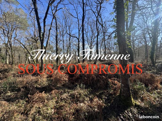 Vente | Forêt | 105105 m² | Poussignac
