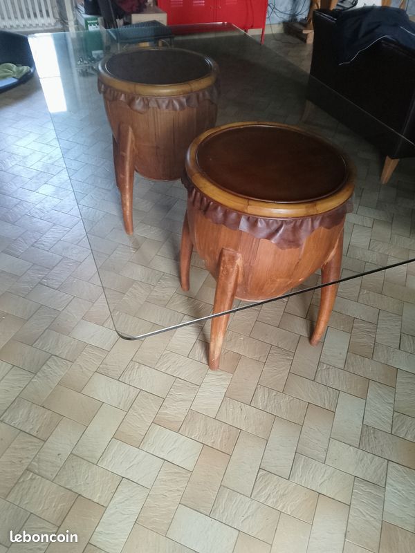 Table en verre exotique (image 1)