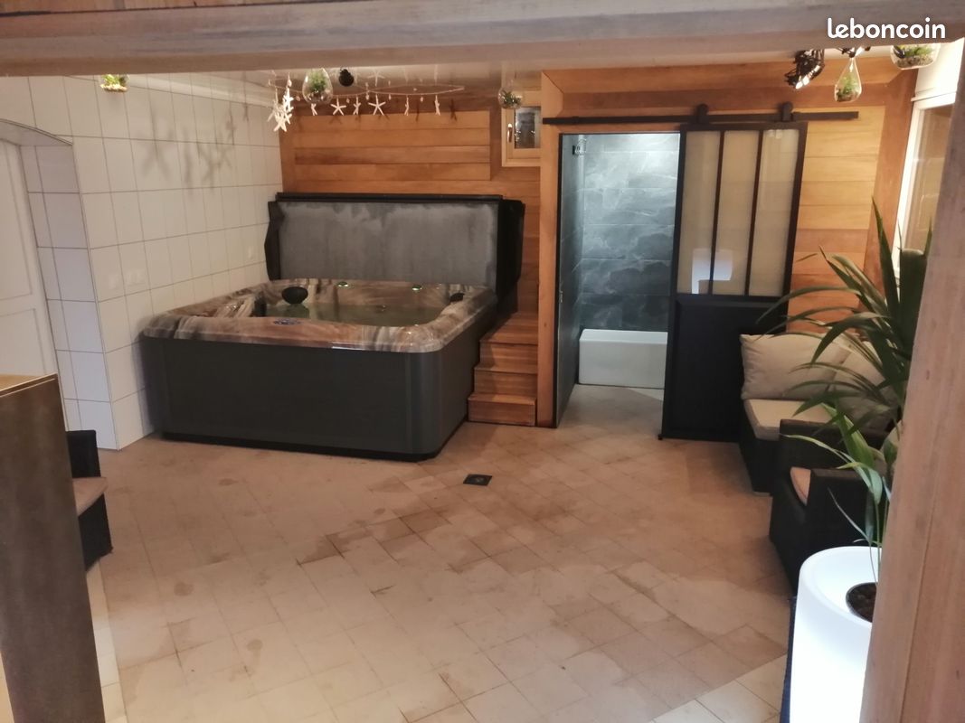Ferme d'exception, 15 pers, piscine intérieure, jacuzzi, salle cinéma en privatisation (image 5)