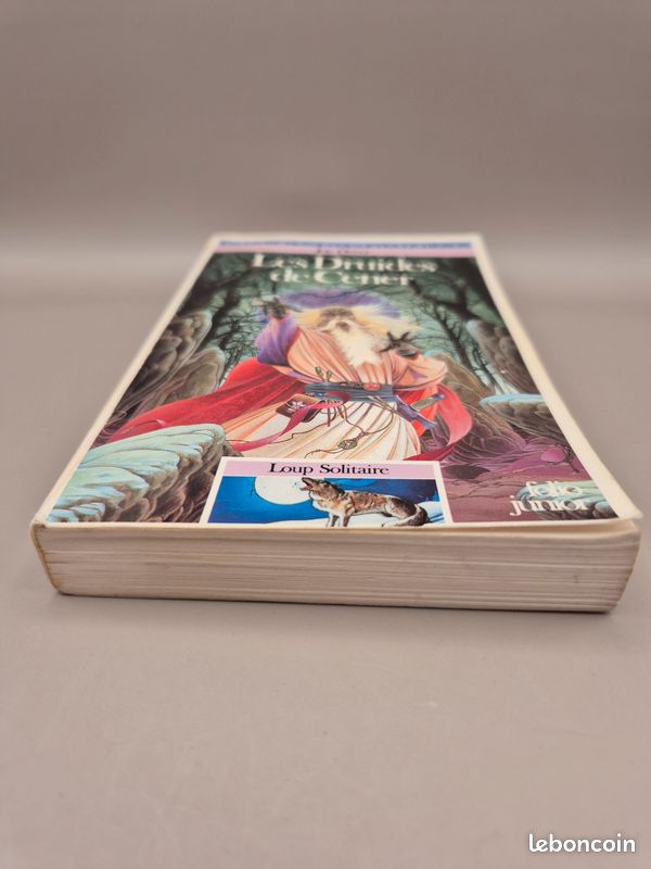 Un livre dont vous êtes le héros (image 5)