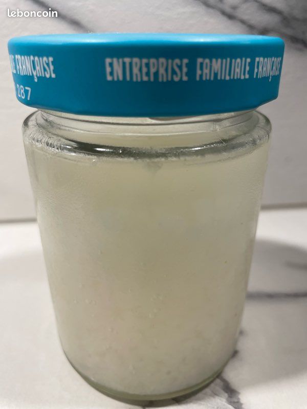 Grains de kefir (image 1)