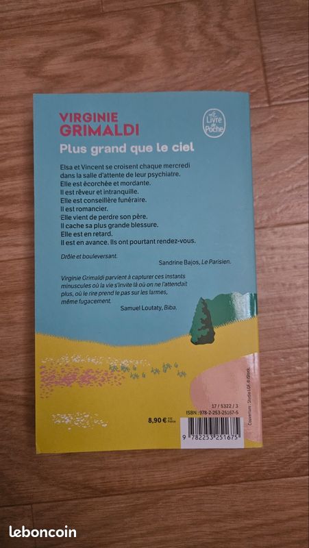 Livre Plus grand que le ciel format poche (image 2)
