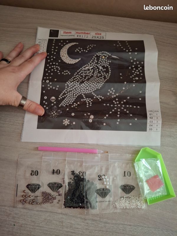 Diamond painting NEUF (image 1)