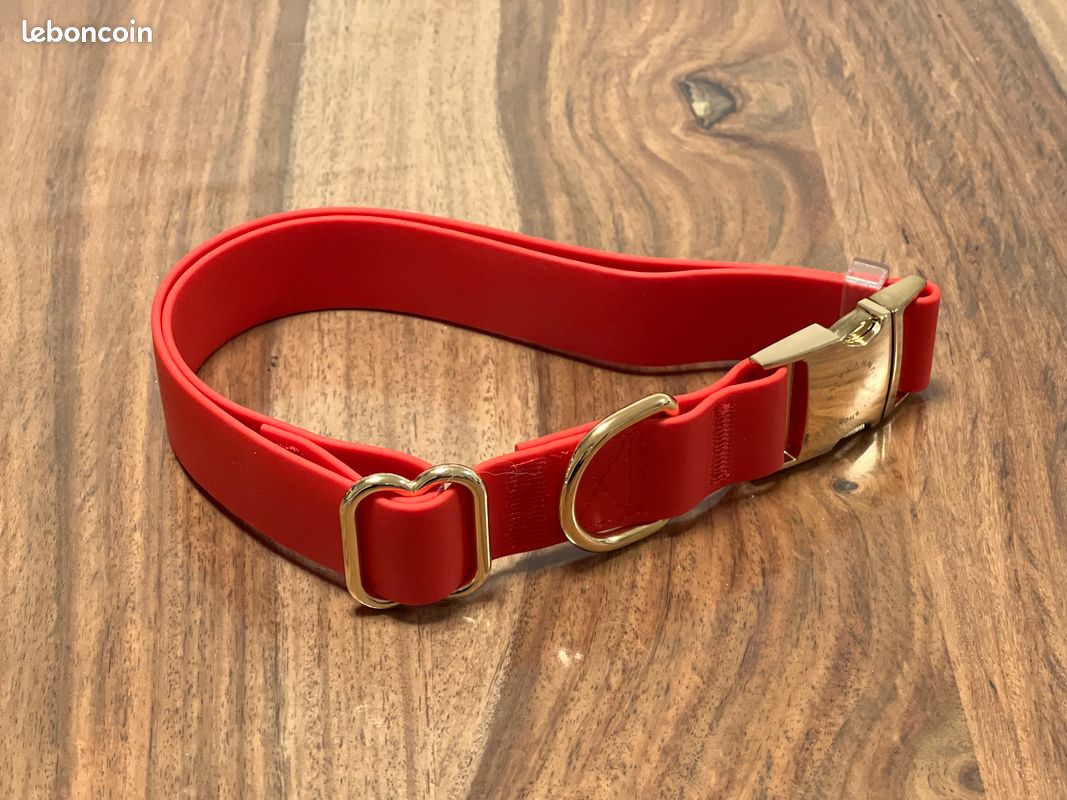 Collier Waterproof pour Chien Cloud Rouge Cherry - Shop Sunny Tails (image 1)
