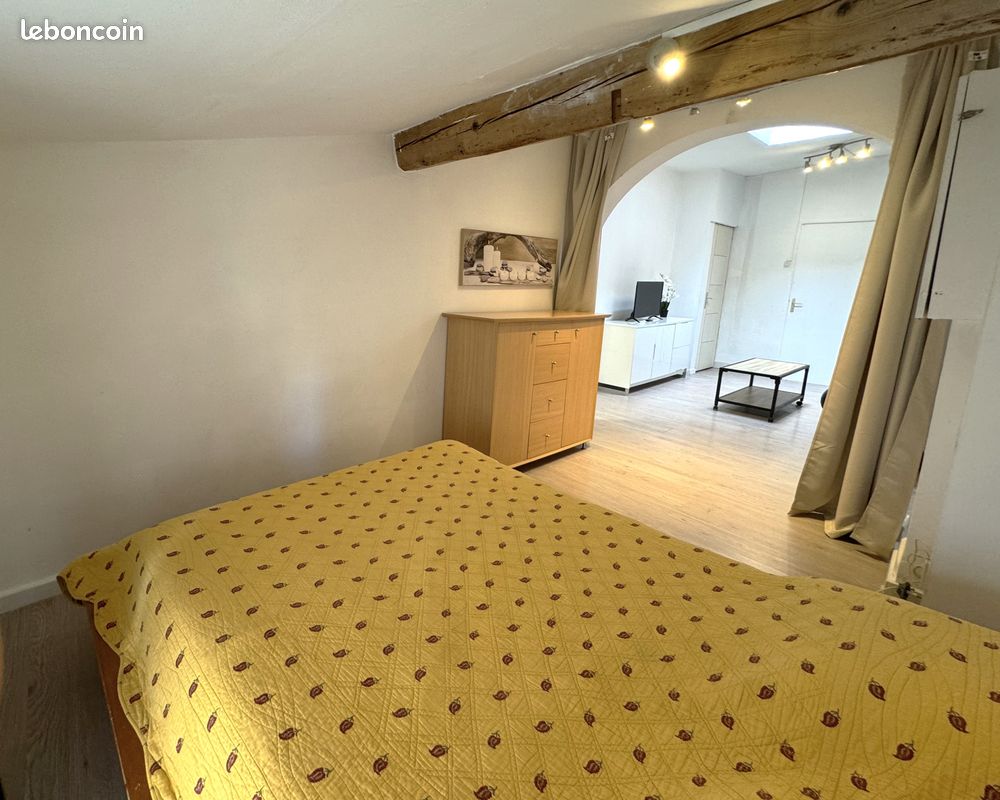 Splendide appartement climatisé à Carcassonne (image 10)