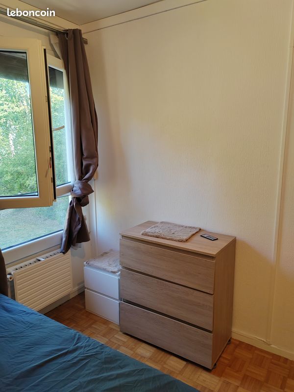 Colocation Chambre 12m2 très bien située (image 3)