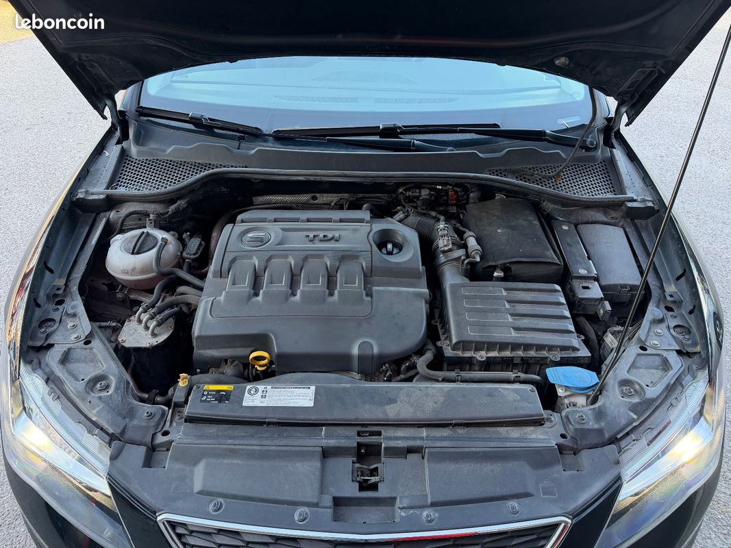 SEAT LEON X-PERIENCE 1.6 TDI 110 ch 4Drive (image 25)